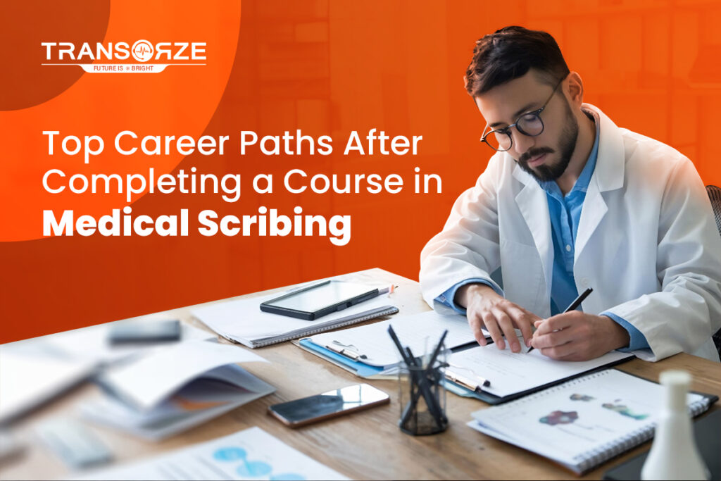 Medical Scribe Career
